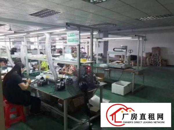  福永和平新出原房东进装修厂房1300平出租
