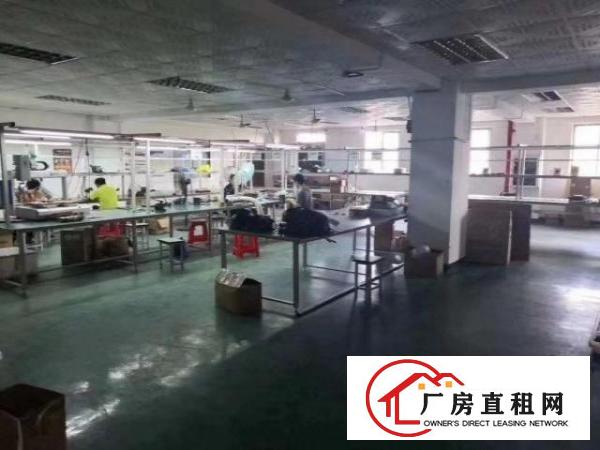  福永和平新出原房东进装修厂房1300平出租