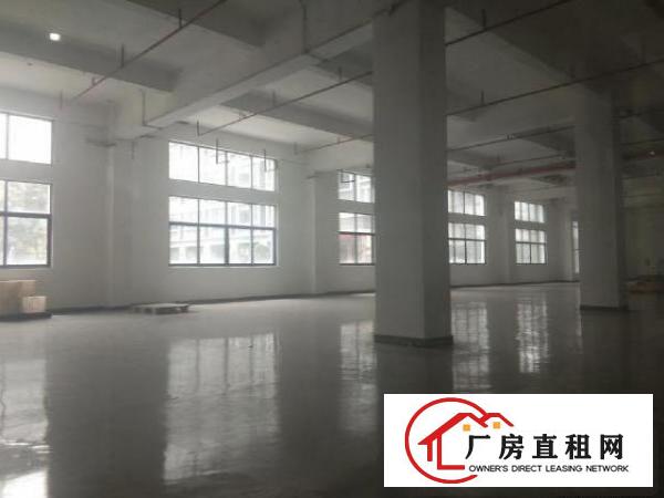  全新厂房招租，形象特别漂亮
