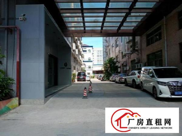  和平一楼1900厂房出租层高6米