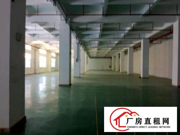  凤凰2楼厂房出租合同5年