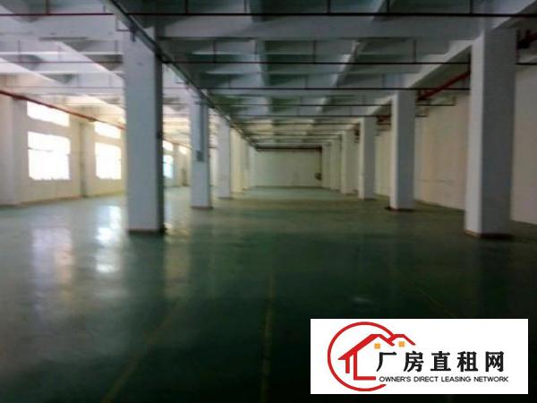 凤凰2楼厂房出租合同5年