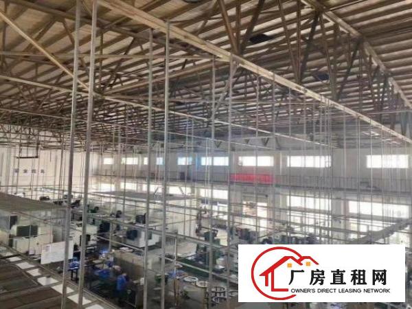  福永红本钢构3100平，电路完整免转让费