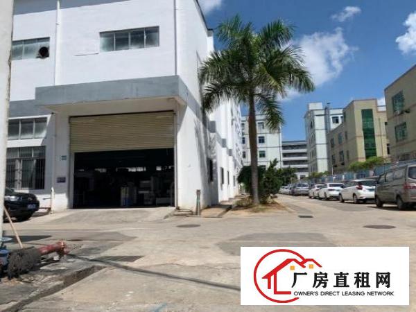  福永红本钢构3100平，电路完整免转让费