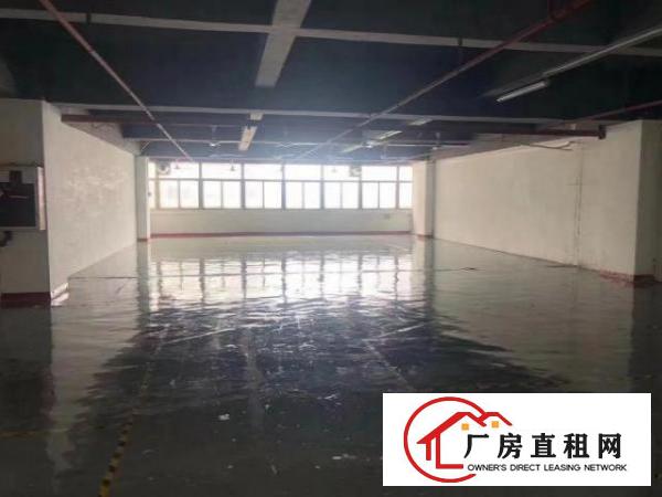  福永国道旁厂房，带货梯卸货平台
