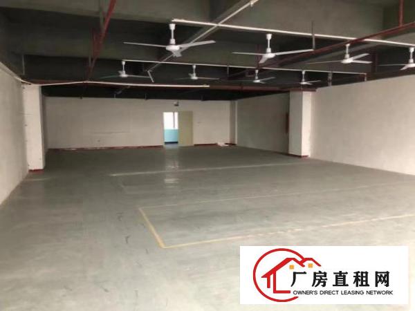  福永国道旁厂房，带货梯卸货平台