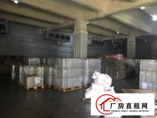  宝安1940平厂房仓库冷库冻库出租物流仓储，可进多条拖头
