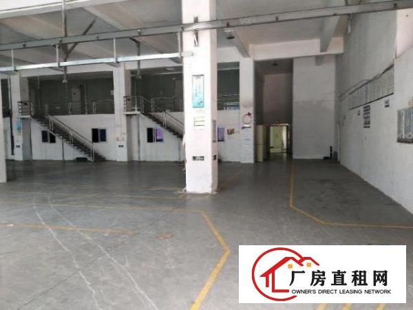  福永1500平实际面积出租带装修