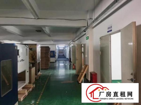  福永新出楼上精装修厂房1350平方，水电齐全，免费停车位