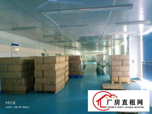  福永塘尾1380平带豪华装修现成前台办公室车间无转让费