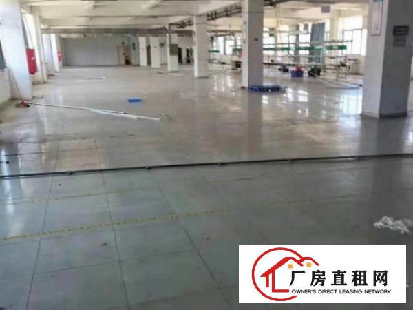  村委厂房独门独院。空地超大。交通便利。形像好