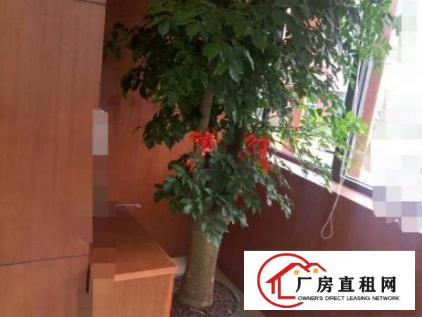  出租福永小面积厂房及豪华装修办公室