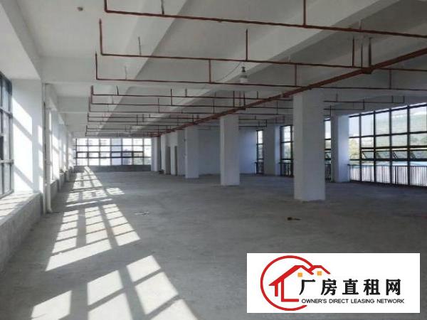  福永和平单层1050整栋11500厂房可做公司总部研发中心
