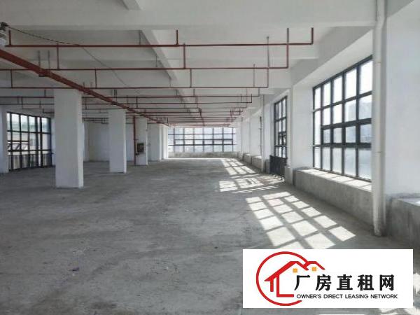  福永和平单层1050整栋11500厂房可做公司总部研发中心