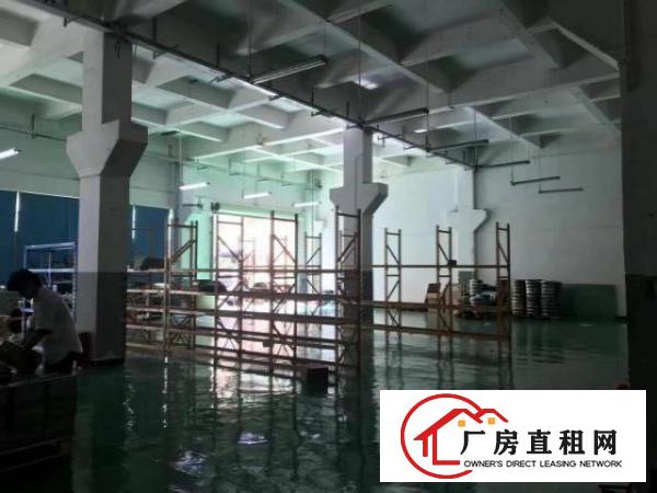  福永新和一楼1000平，精装修厂房，空地大，层高7米
