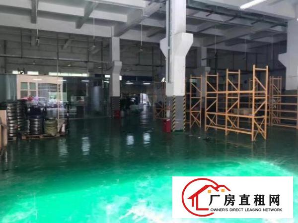  福永新和一楼1000平，精装修厂房，空地大，层高7米