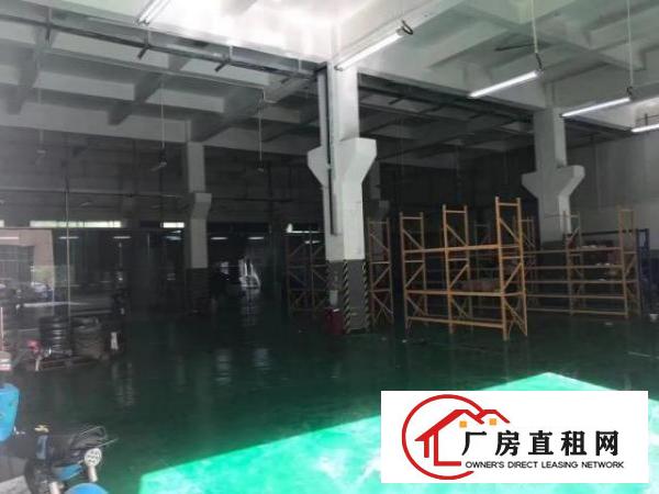  福永新和一楼1000平，精装修厂房，空地大，层高7米