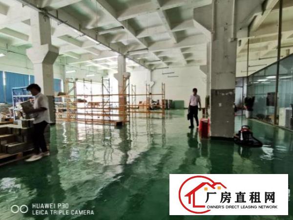  福永新和富桥三区，一楼带装修厂房出租