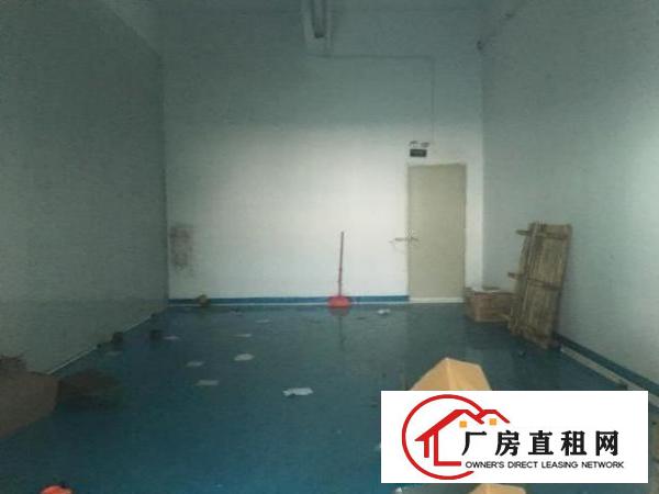  福永和平精装修无尘车间房东面积实在价格便宜