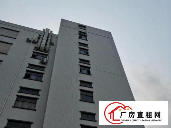  福永白石厦240平小面积精装修