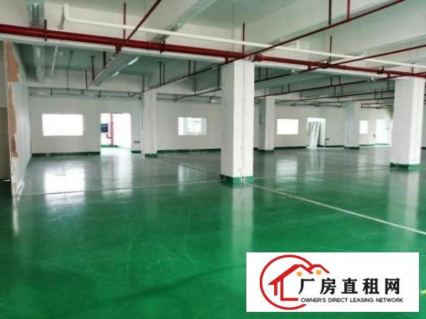  出租福永镇楼上500平方无尘车间，免转让费，随时看房