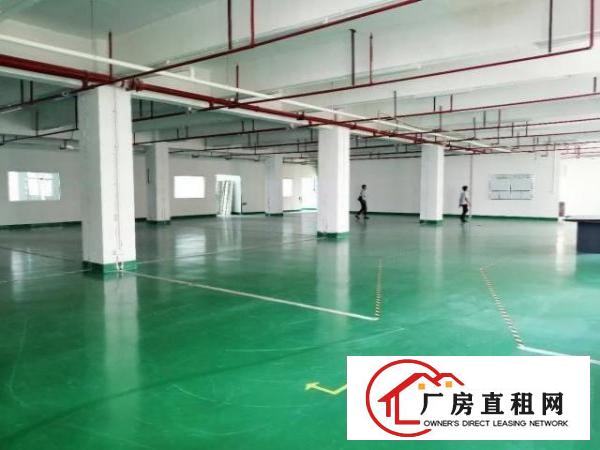 出租福永镇楼上500平方无尘车间，免转让费，随时看房