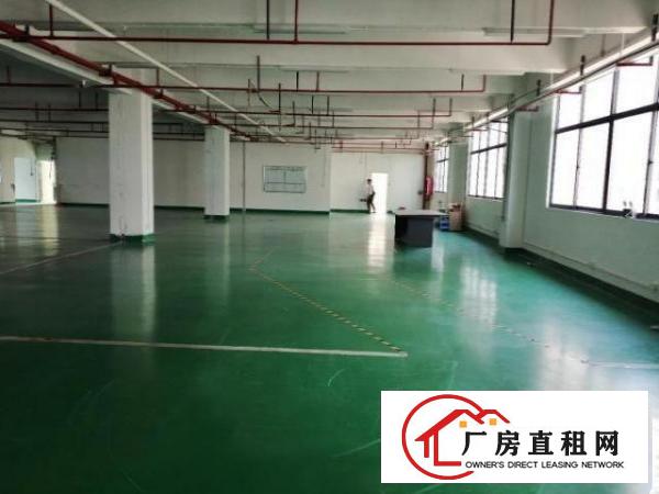  出租福永镇楼上500平方无尘车间，免转让费，随时看房