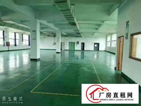  业主直租：福永和平红本厂房2500平米低价出租