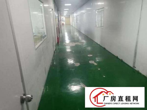  厂房出租无转让费水电齐全接手可做
