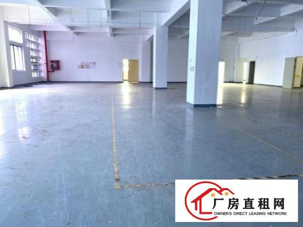  福永实用面积楼上3000平，每层1500平，精装免转