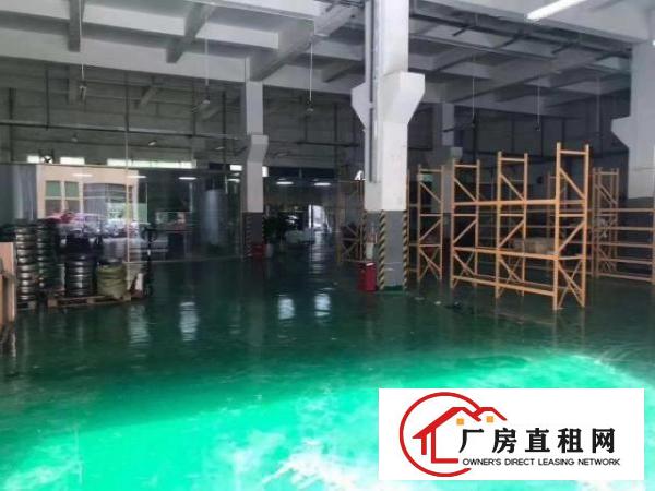  福永新和一楼1000平豪华精装修厂房出租。可物流