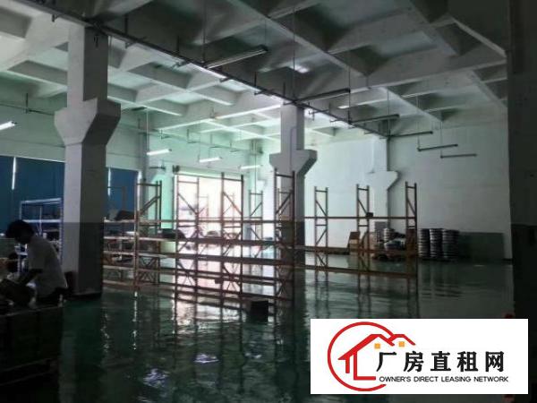  福永新和一楼1000平豪华精装修厂房出租。可物流