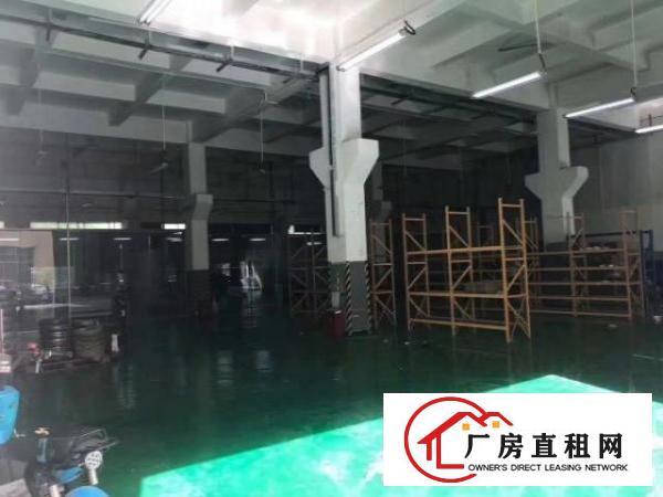  福永新和一楼1000平豪华精装修厂房出租。可物流