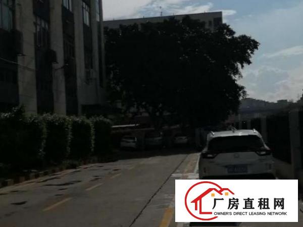  出租宝安福永（会展附近厂房便宜出租）