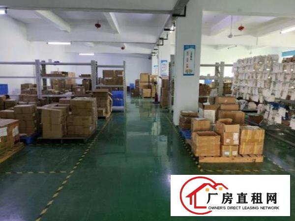  福永凤凰楼上带装修厂房出租