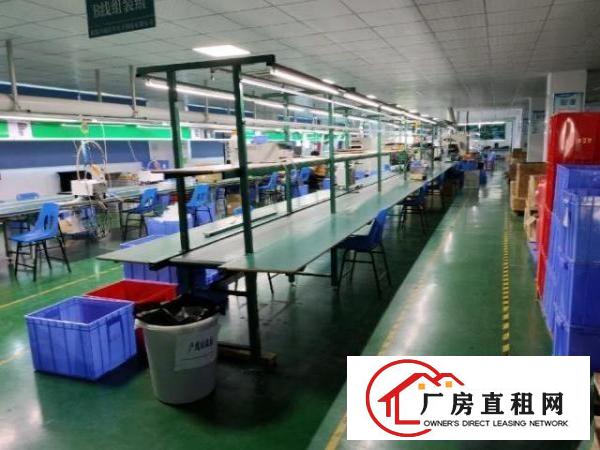  福永凤凰楼上带装修厂房出租