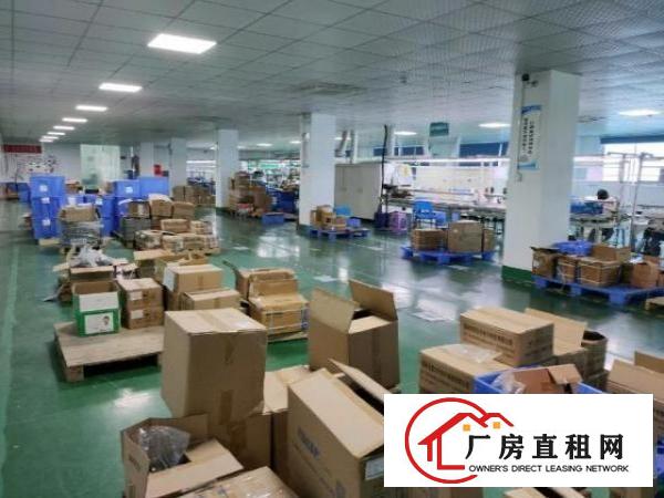  福永凤凰楼上带装修厂房出租