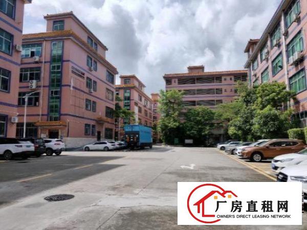  福永凤凰楼上带装修厂房出租