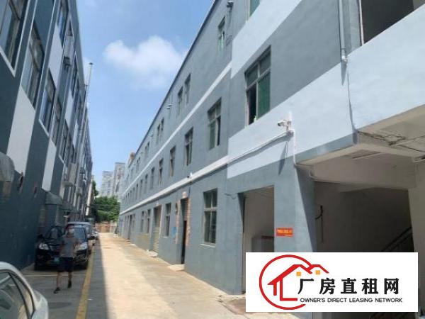  107高速出口100米处带吊机口厂房低价出租