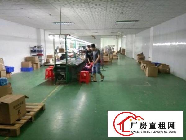  塘尾二楼带装修厂500平出租