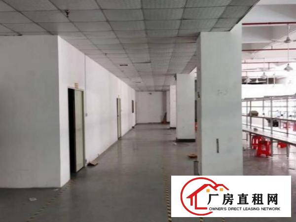  福永厂房出租1400²精装修，厂房领包入住