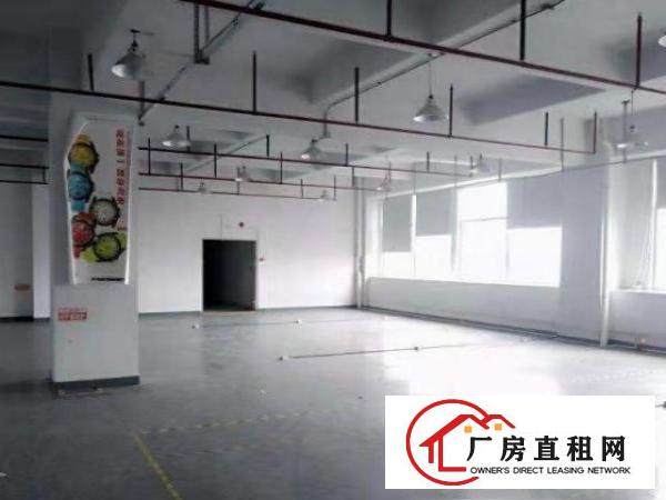  福永和平招租楼上厂房580平，有红本，产证齐