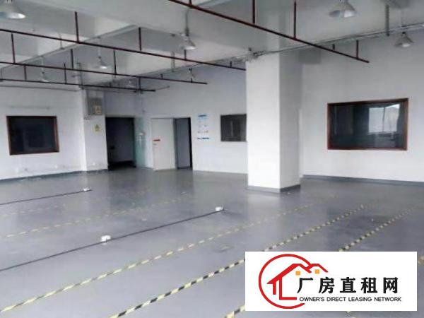  福永和平招租楼上厂房580平，有红本，产证齐