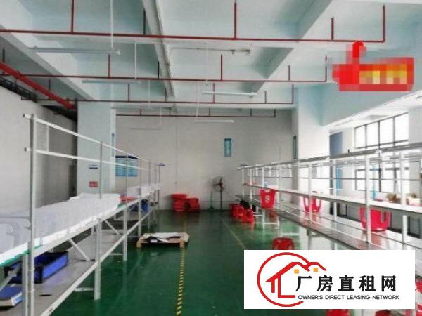  福永兴围工业出租2楼厂房520平方，流水线车间！