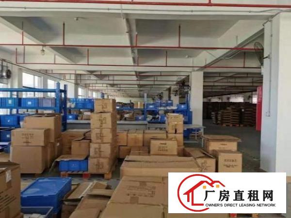  福永新和一楼厂房出租1500平，有房产证，可分租