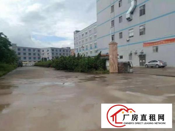  福永大洋田一楼厂房500平出租，带装修，拎包入住