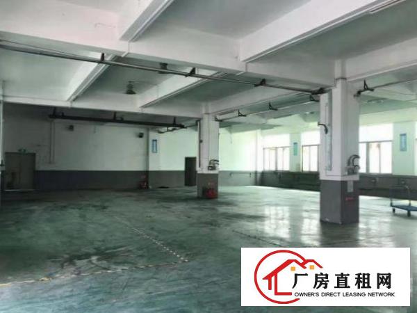  福永兴围一楼厂房700平带装修，面积实在，配电大
