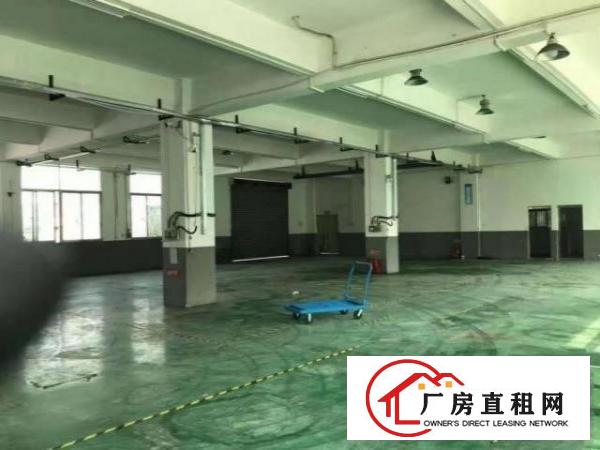  福永兴围一楼厂房700平带装修，面积实在，配电大