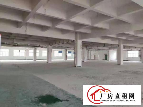  华丰直租宝安福永松福大道华丰科技园300-1500㎡