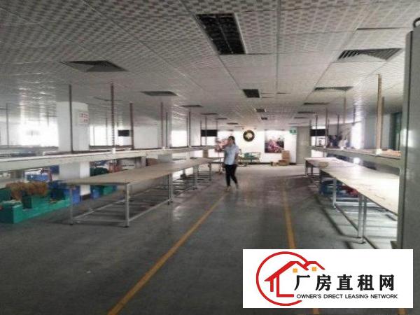  福永凤凰原房东，楼上厂房650平，形象好